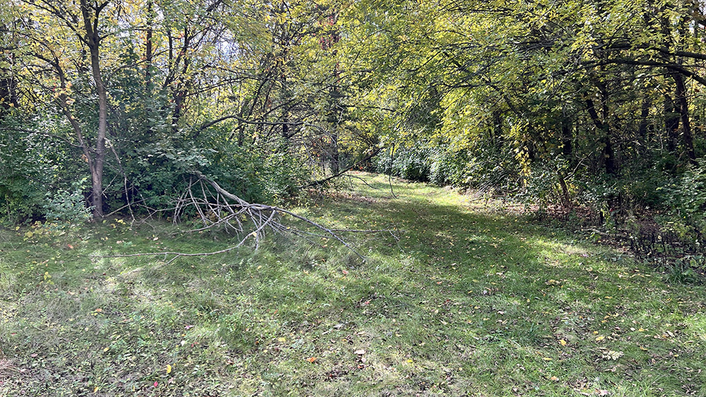 6566 Lock Road Fulton, IL 61252 - Photo 12 of 18 a view of outdoor space and yard