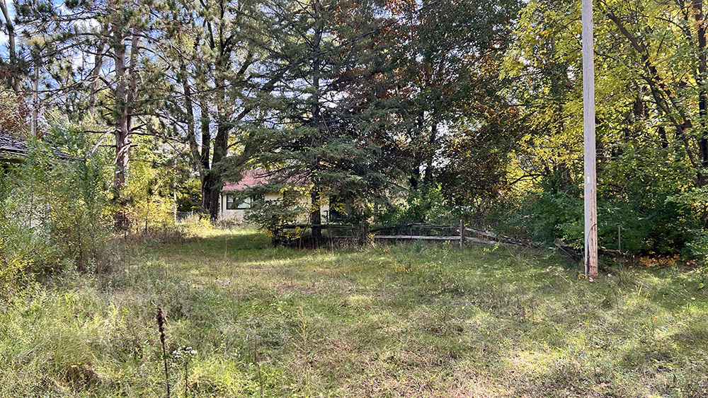 6566 Lock Road Fulton, IL 61252 - Photo 16 of 18 a view of a trees in a yard