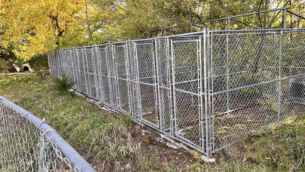 6566 Lock Road Fulton, IL 61252 - Photo 5 of 18 a view of a pathway with a wooden fence
