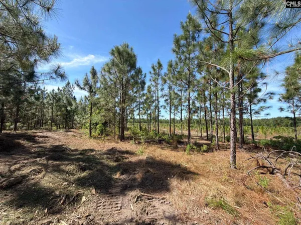 $139,900 | 3 Holstein Road, Monetta, SC 29105