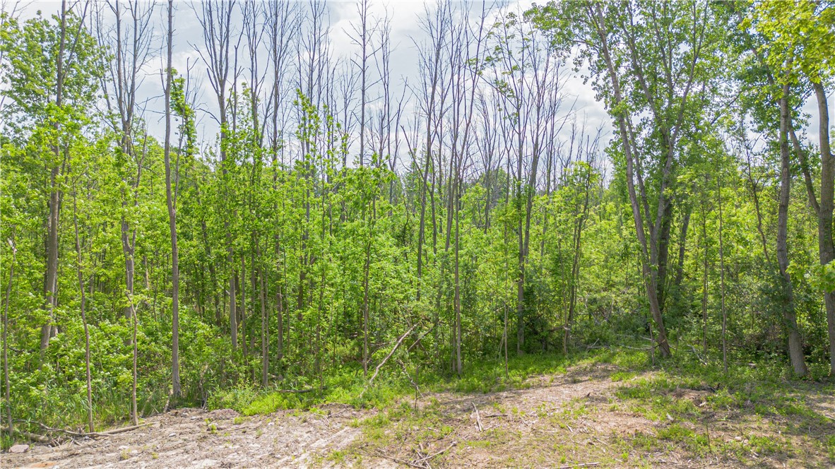 Whitney Road East Perinton, NY 14450 - Photo 5 of 6