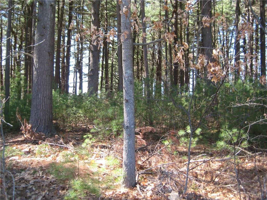 50 B Indian Inn Road Thompson, CT 06277 - Photo 1 of 1 a view of a yard with plants and trees