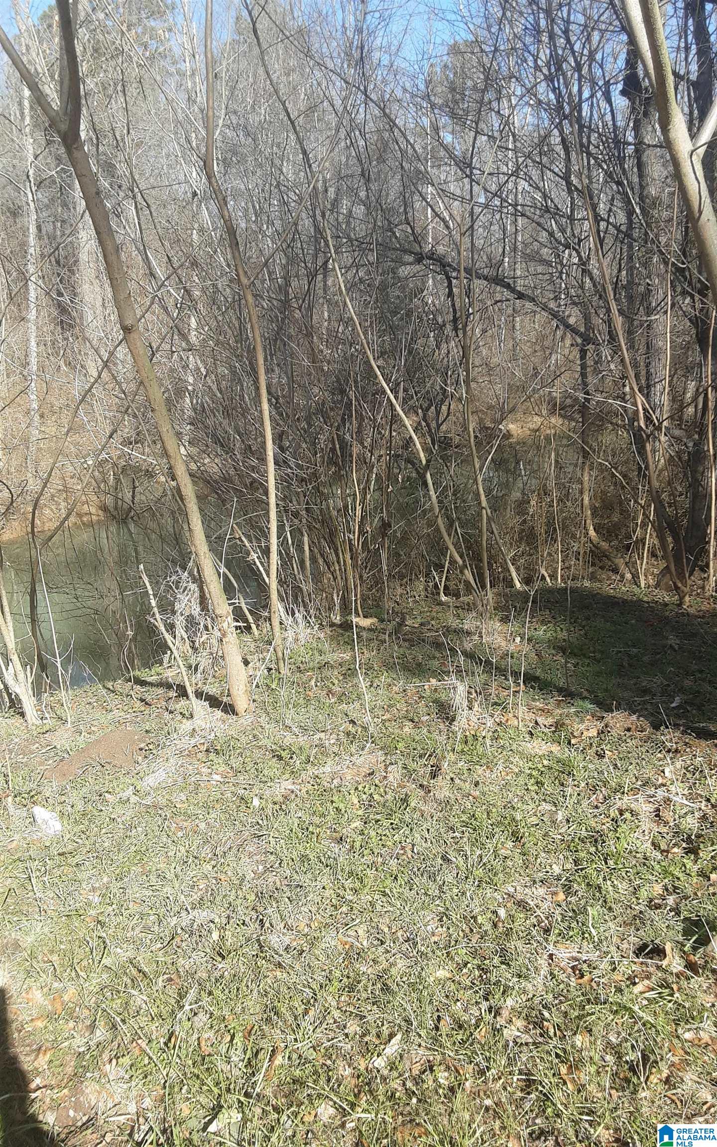 5385 Littleton Kilgore Road Dora, AL 35062 - Photo 23 of 27