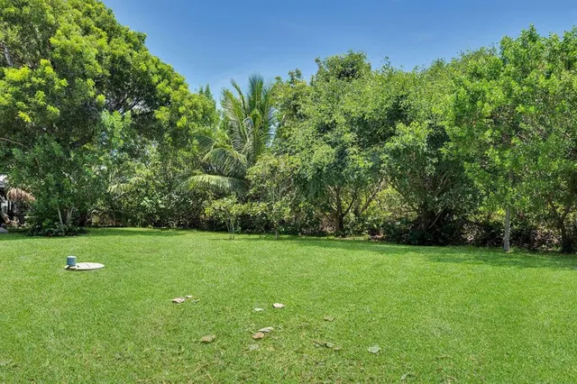 a view of a grassy field with trees in the background
