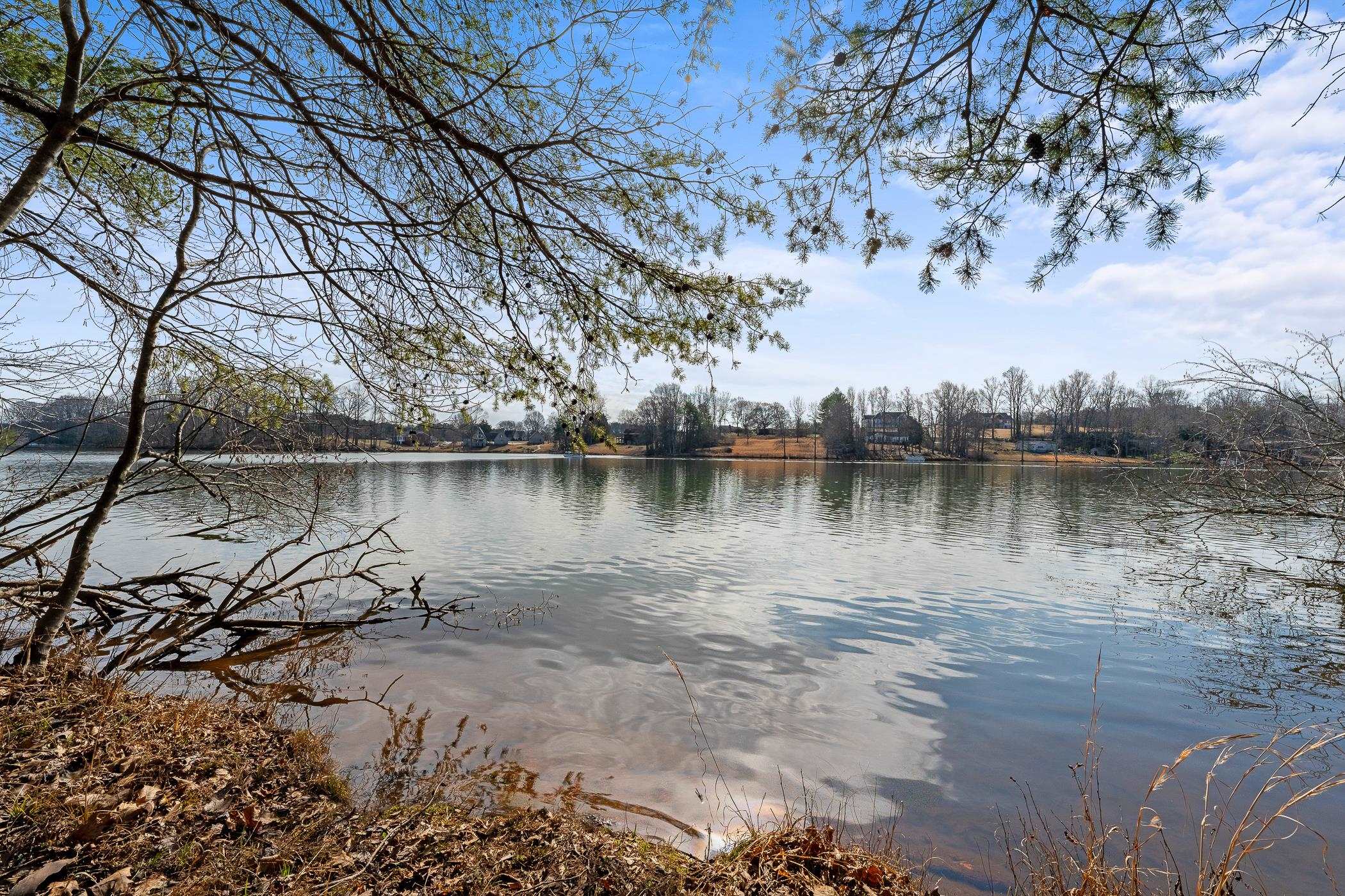 214 Rushing Waters Drive Inman, SC 29349 - Photo 10 of 37