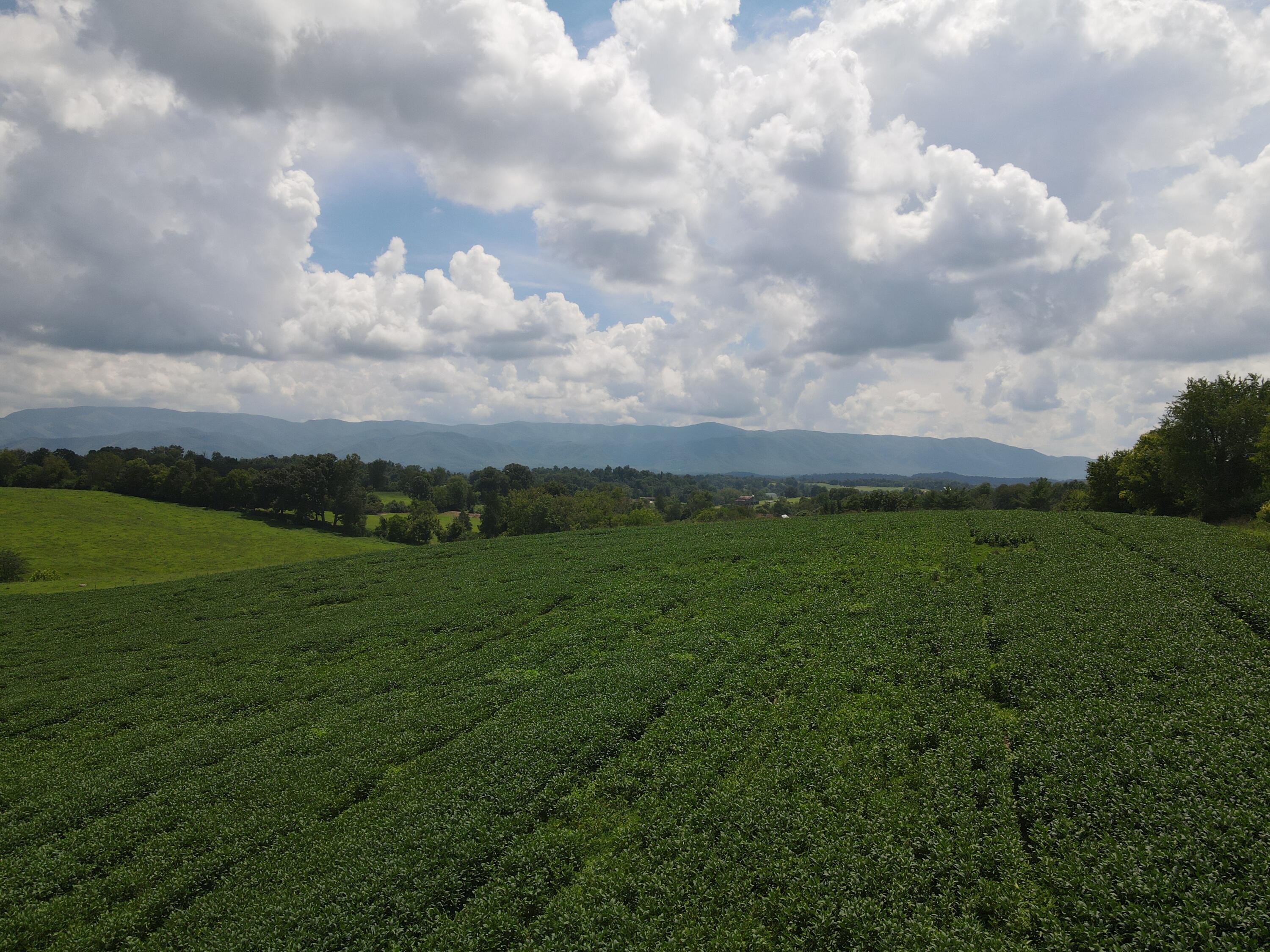 Tbd Browns Bridge Road, Unit 10 Greeneville, TN 37745 - Photo 3 of 4 DJI_0499