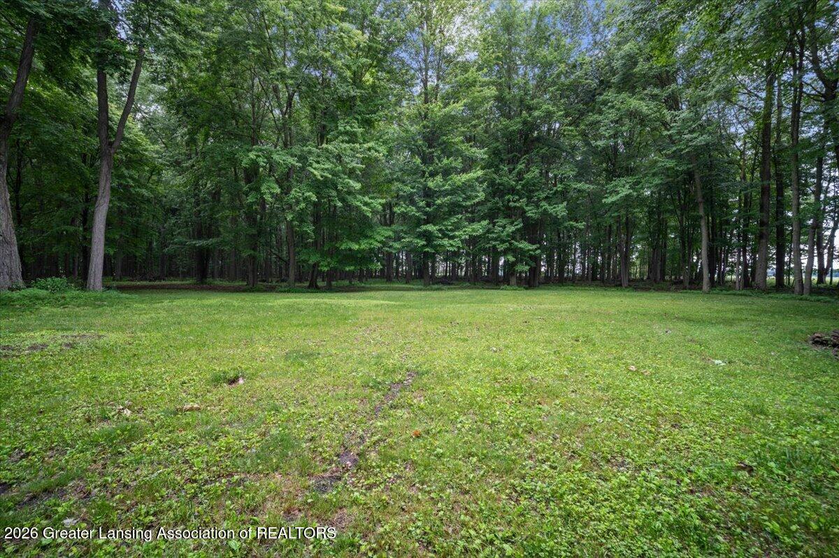 1520 Shepard Road Crystal, MI 48818 - Photo 48 of 59 52-LOT IN BACK 03
