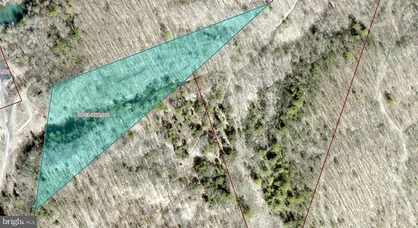 a view of a garden with a pathway