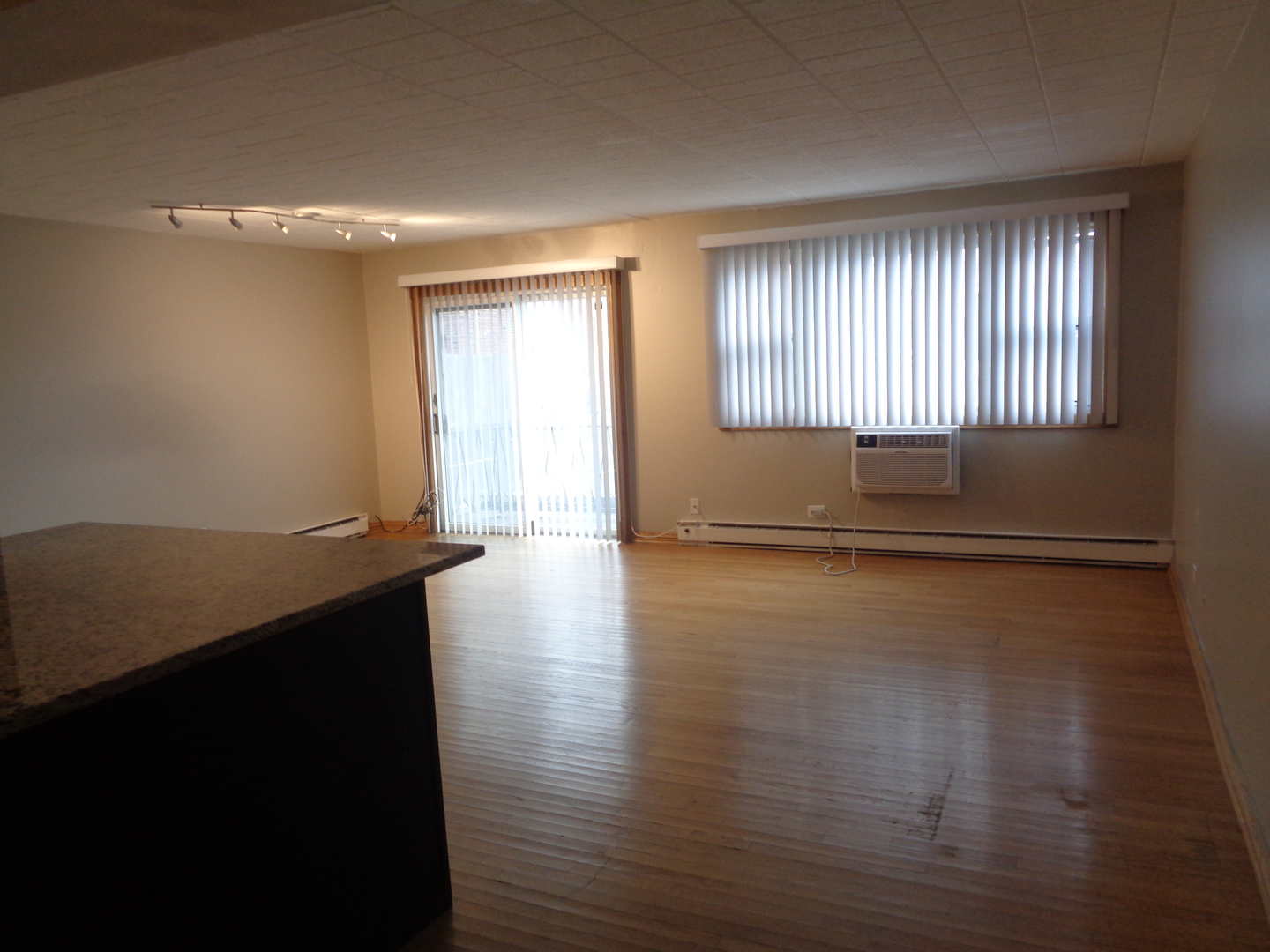 6233 West 94th Street, Unit 1SE Oak Lawn, IL 60453 - Photo 4 of 13 a view of an empty room with wooden floor and a window