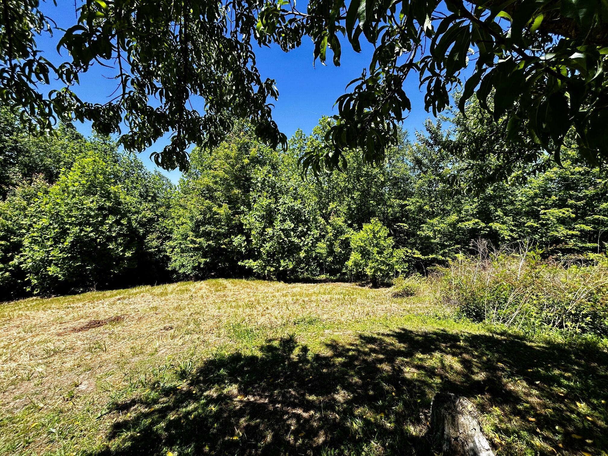 161 Willie Shell Road Reliance, TN 37369 - Photo 55 of 70 willie yard