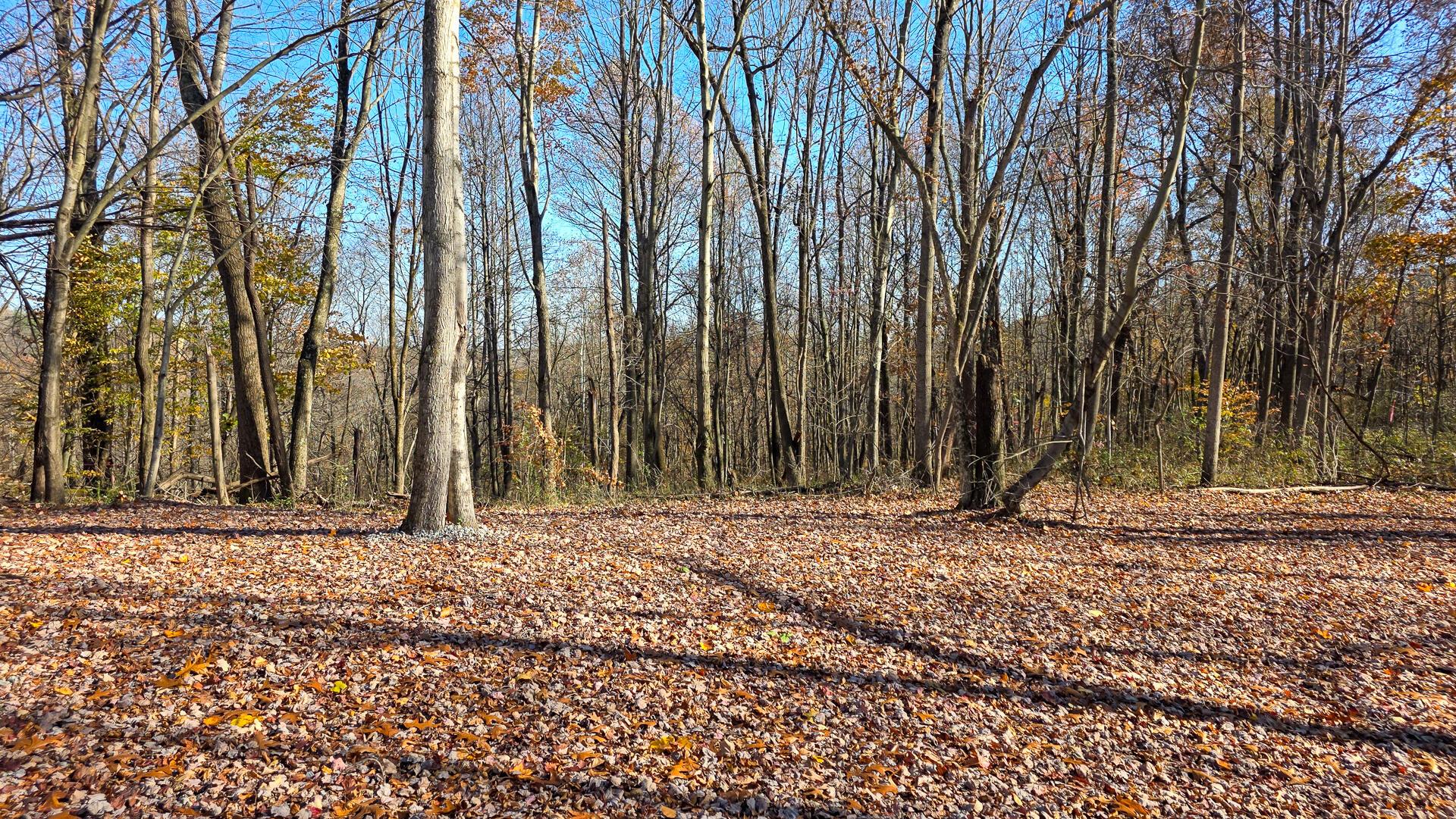 680 Nibert Road, Unit PONDS POPLAR RIDGE TRACT 10) Gallipolis, OH 45631 - Photo 41 of 46 CT-41