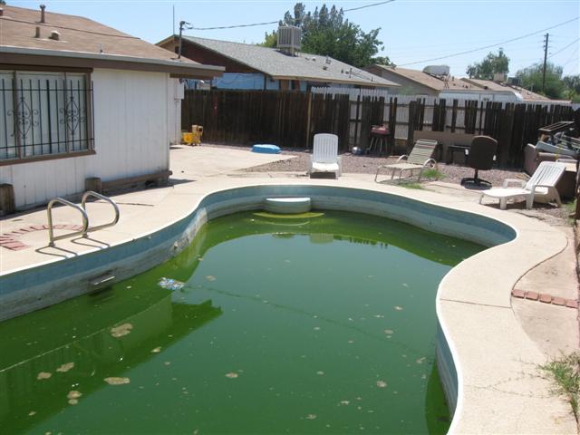 6624 West Cheery Lynn Road Phoenix, AZ 85033 - Photo 8 of 8 Pool