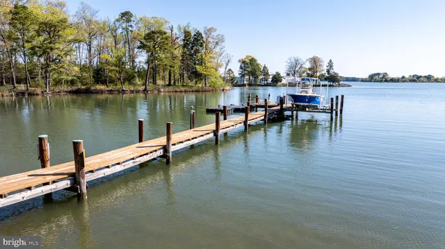 a view of a lake with boats and trees in the background