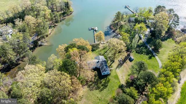 a view of a garden with flowers