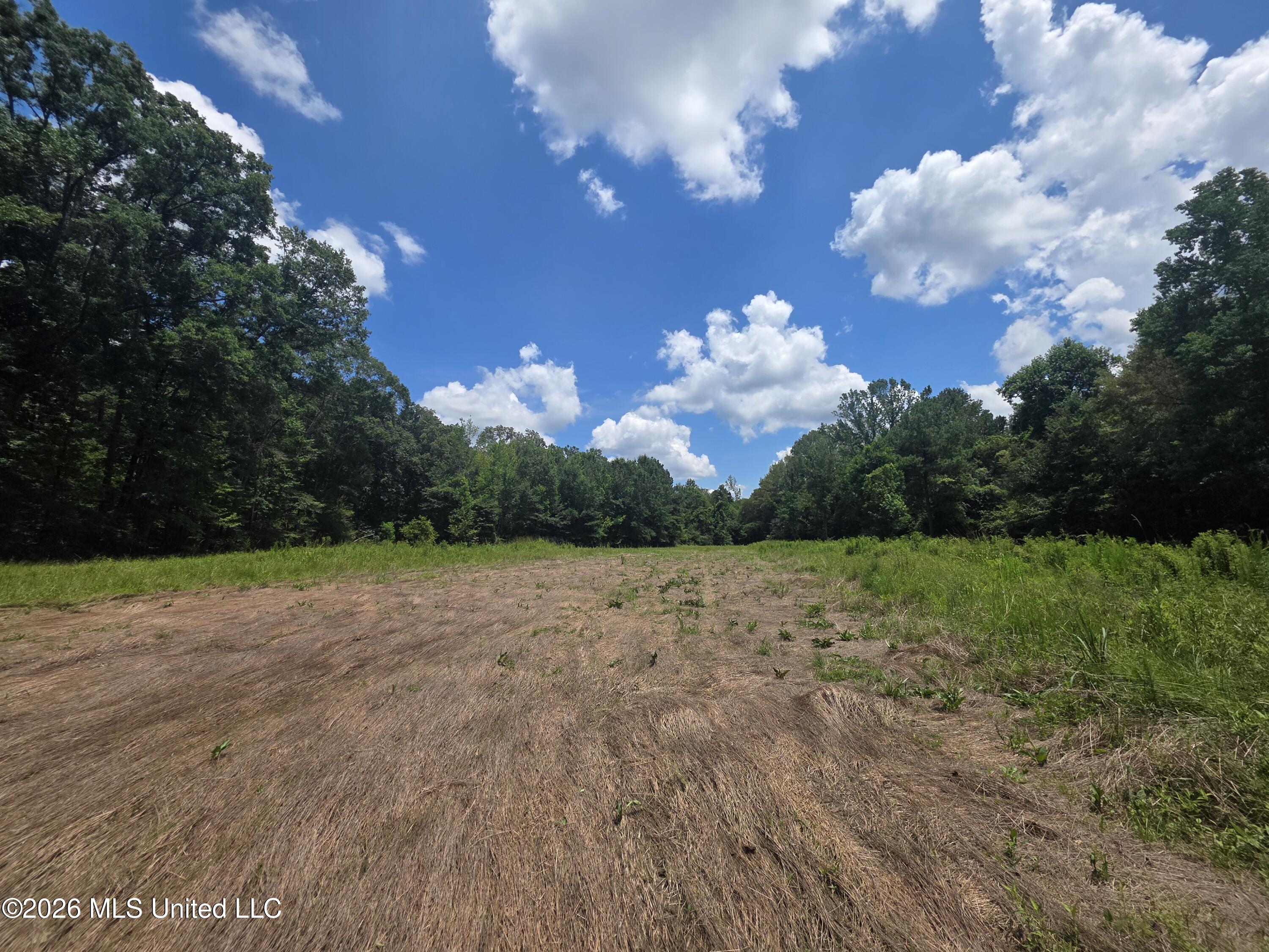 538 East Scrd Morton, MS 39117 - Photo 16 of 30 37146
