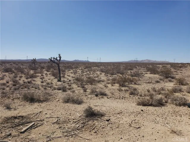 a view of water covered with large trees