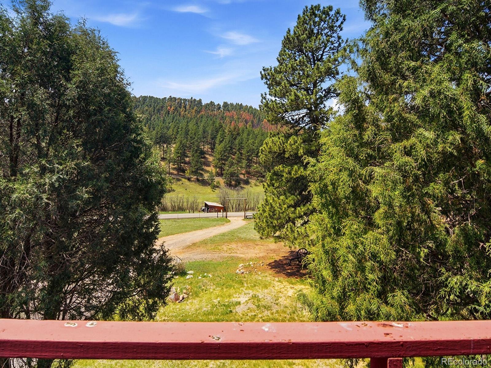 2830 Kerr Gulch Road Evergreen, CO 80439 - Photo 7 of 48 a view of yard with trees