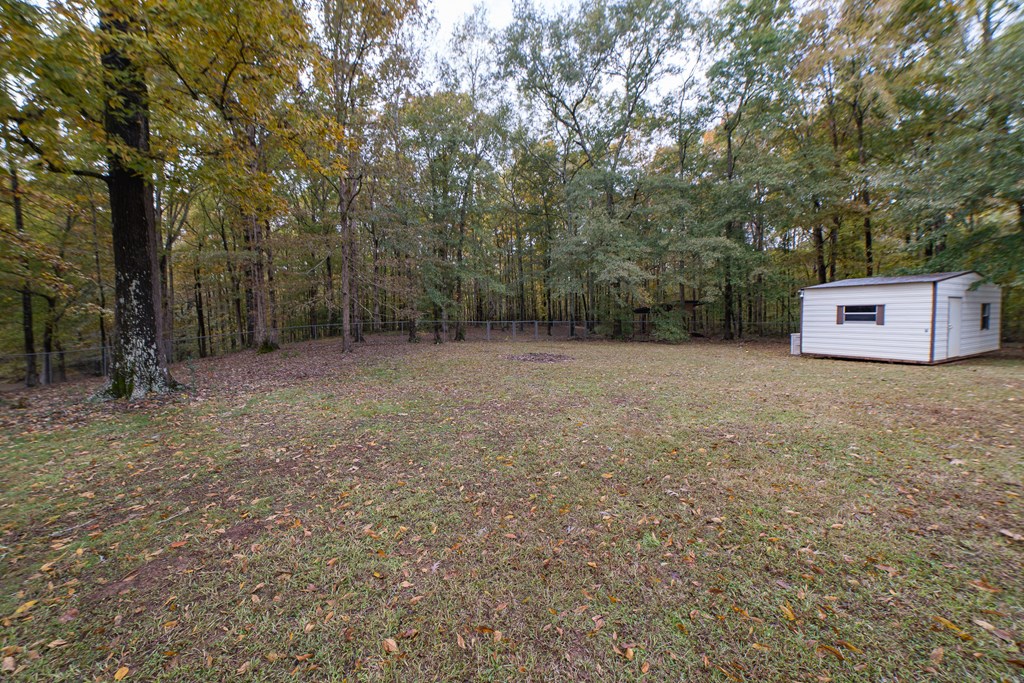 299 Knowles Road Cataula, GA 31804 - Photo 13 of 50 Gallery Image 13
