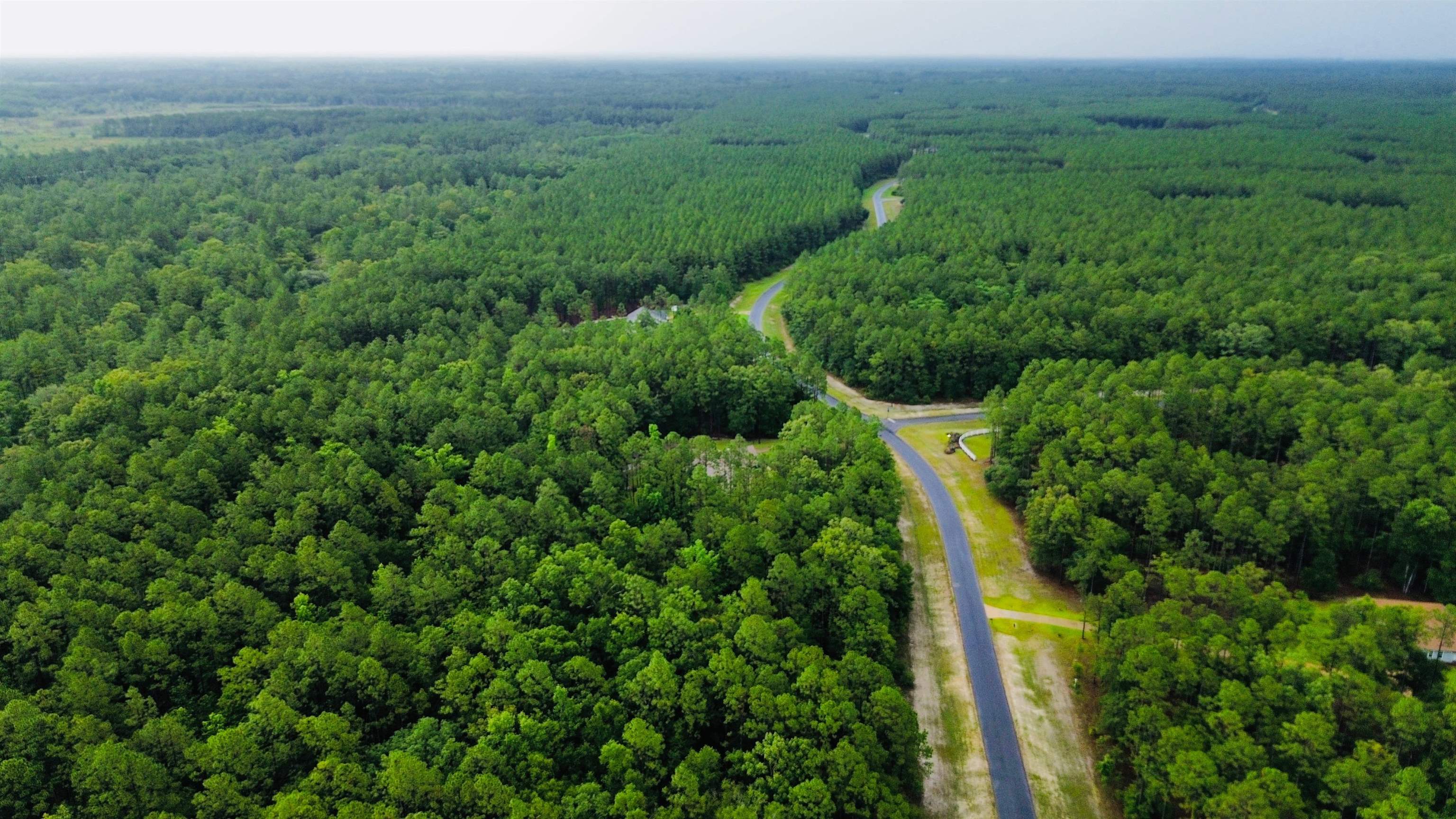 Lot 3-block Lot 3-block F Ranch Club Road Tallahassee, FL 32305 - Photo 5 of 8