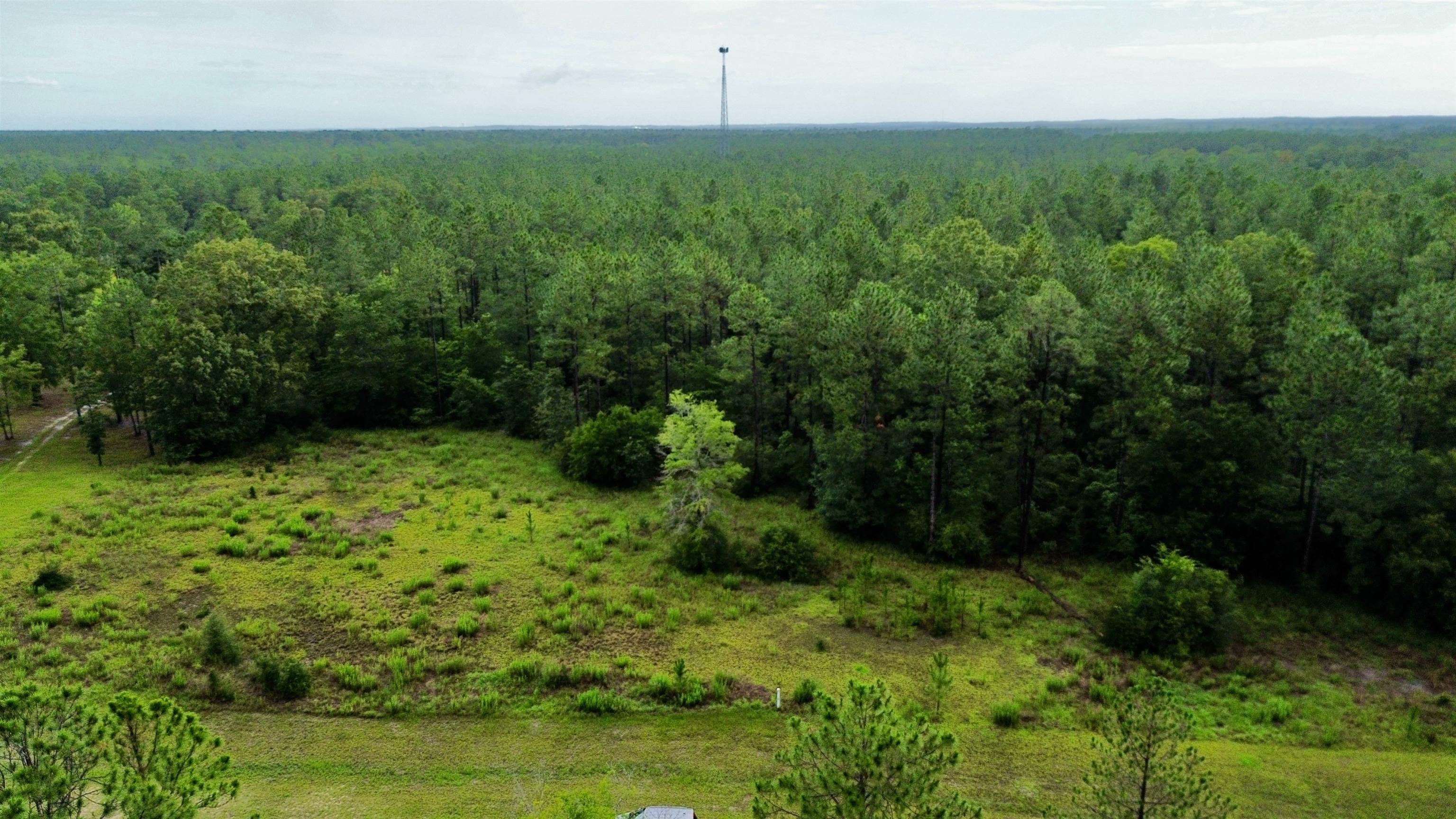 Lot 3-block Lot 3-block F Ranch Club Road Tallahassee, FL 32305 - Photo 6 of 8
