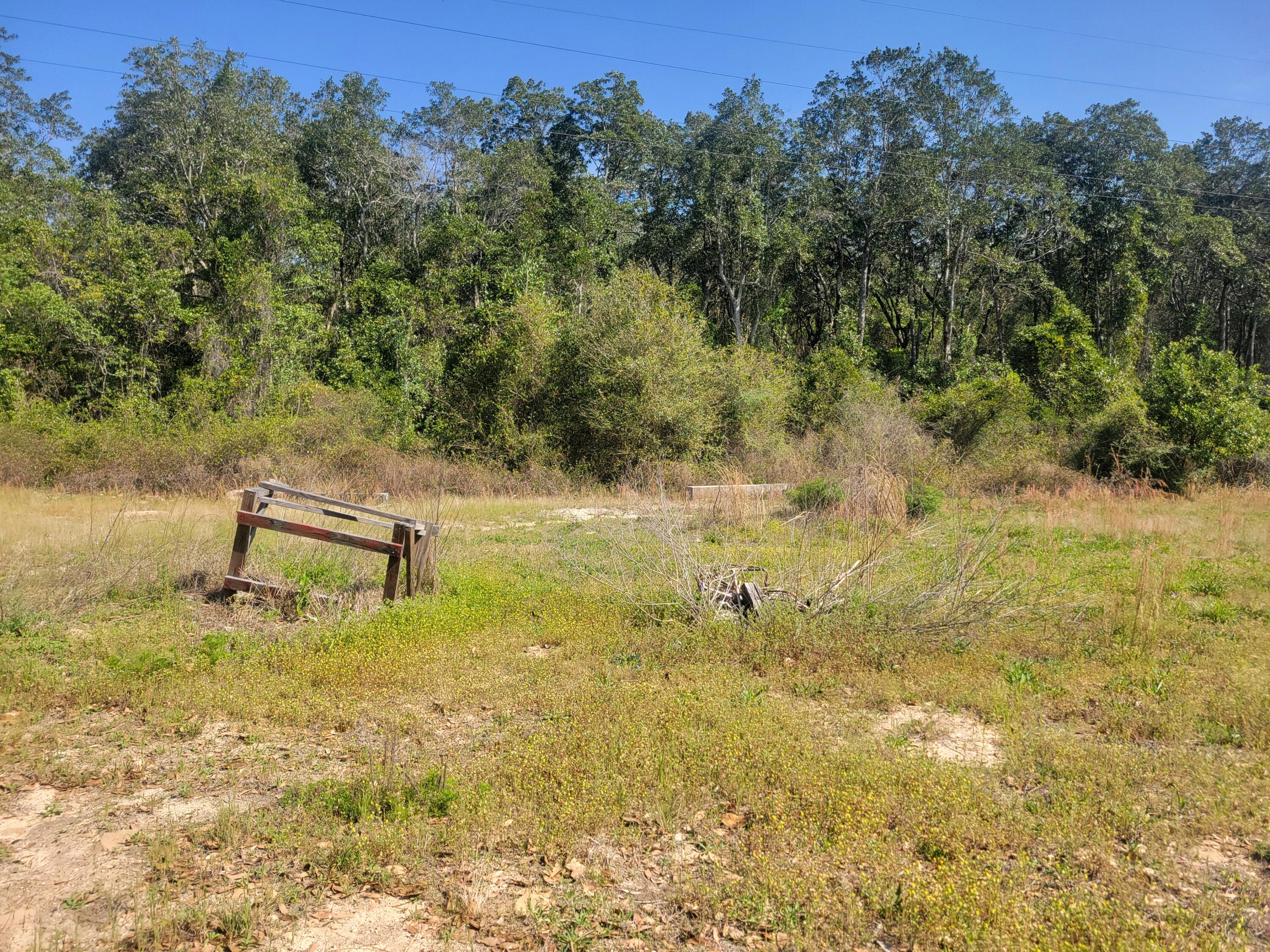 76 German Club Road DeFuniak Springs, FL 32433 - Photo 7 of 12 1000080620