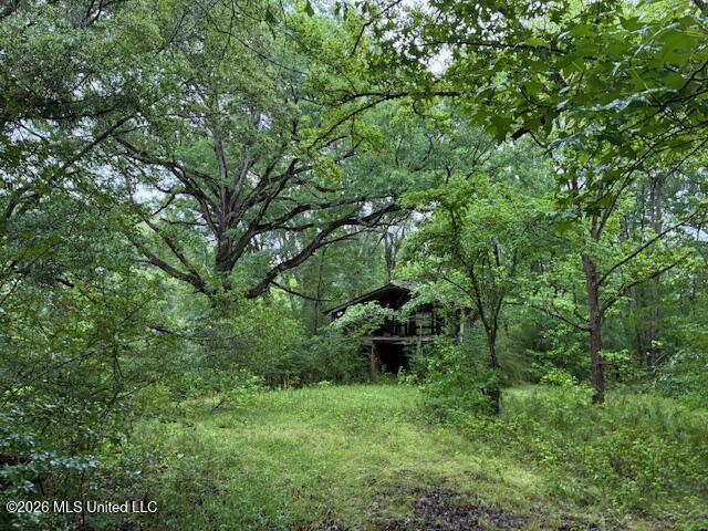 267 Lewis Road South Florence, MS 39073 - Photo 10 of 32 IMG_0315