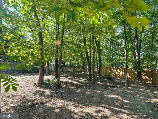 a view of a outdoor space with trees