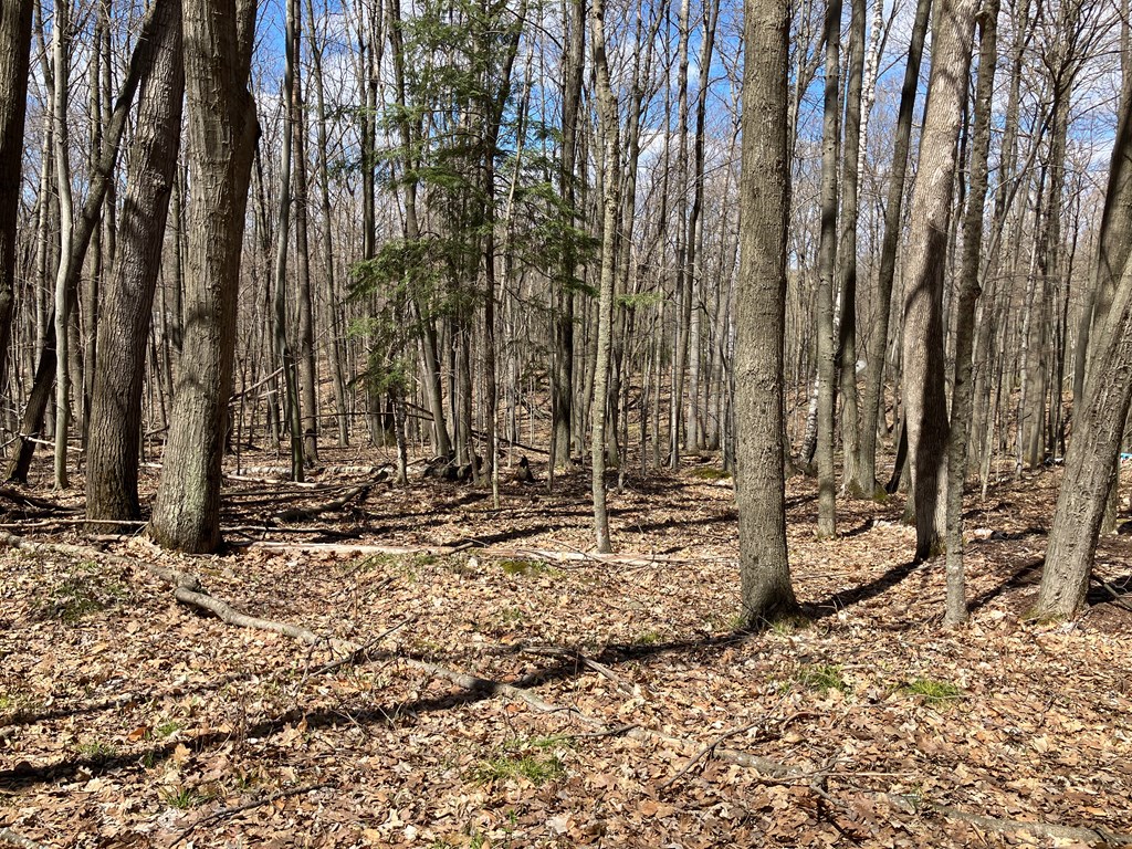 6863 Spring Lane Egg Harbor, WI 54209 - Photo 2 of 5
