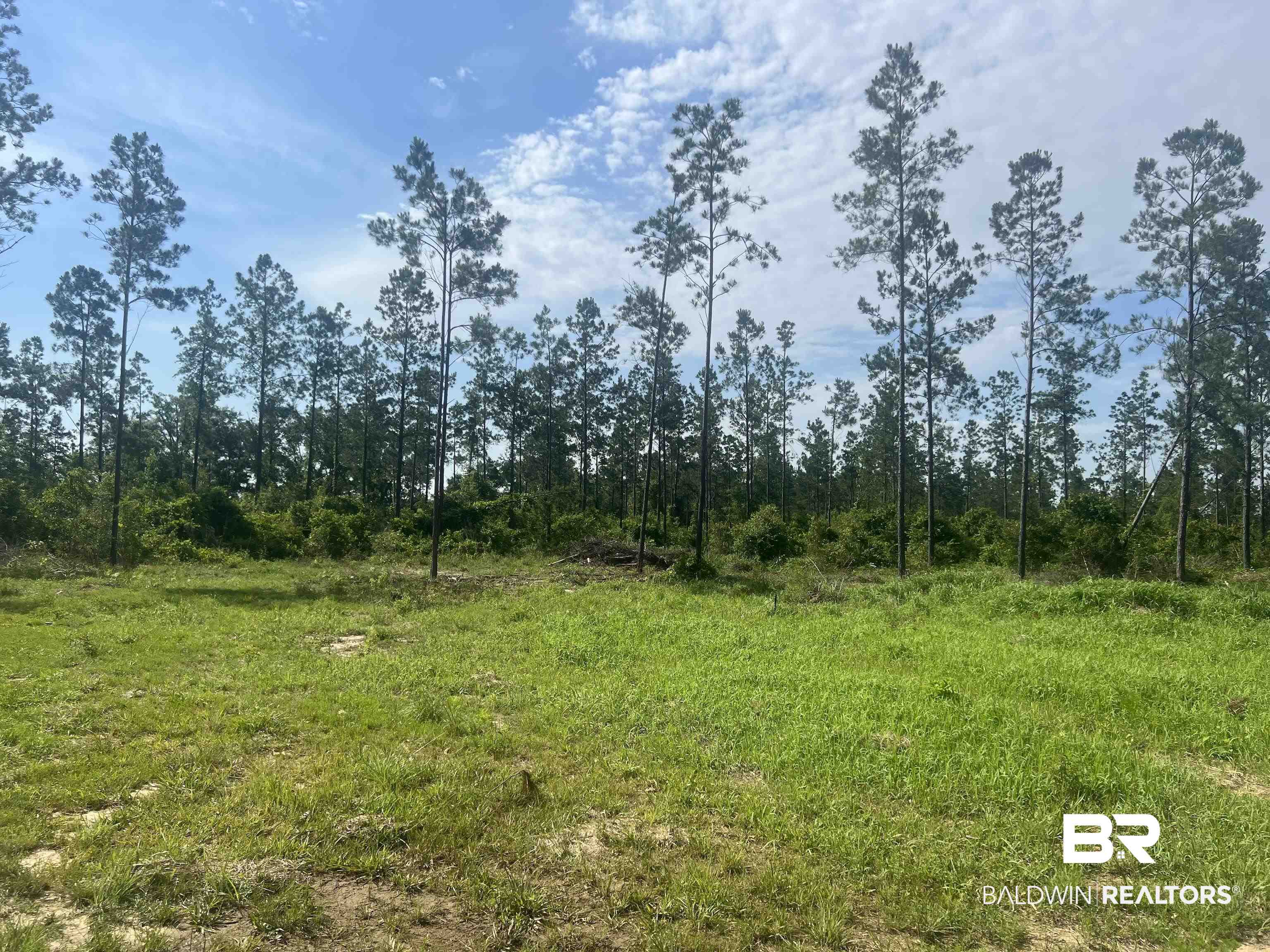 24712 Linholm Road Robertsdale, AL 36567 - Photo 5 of 8