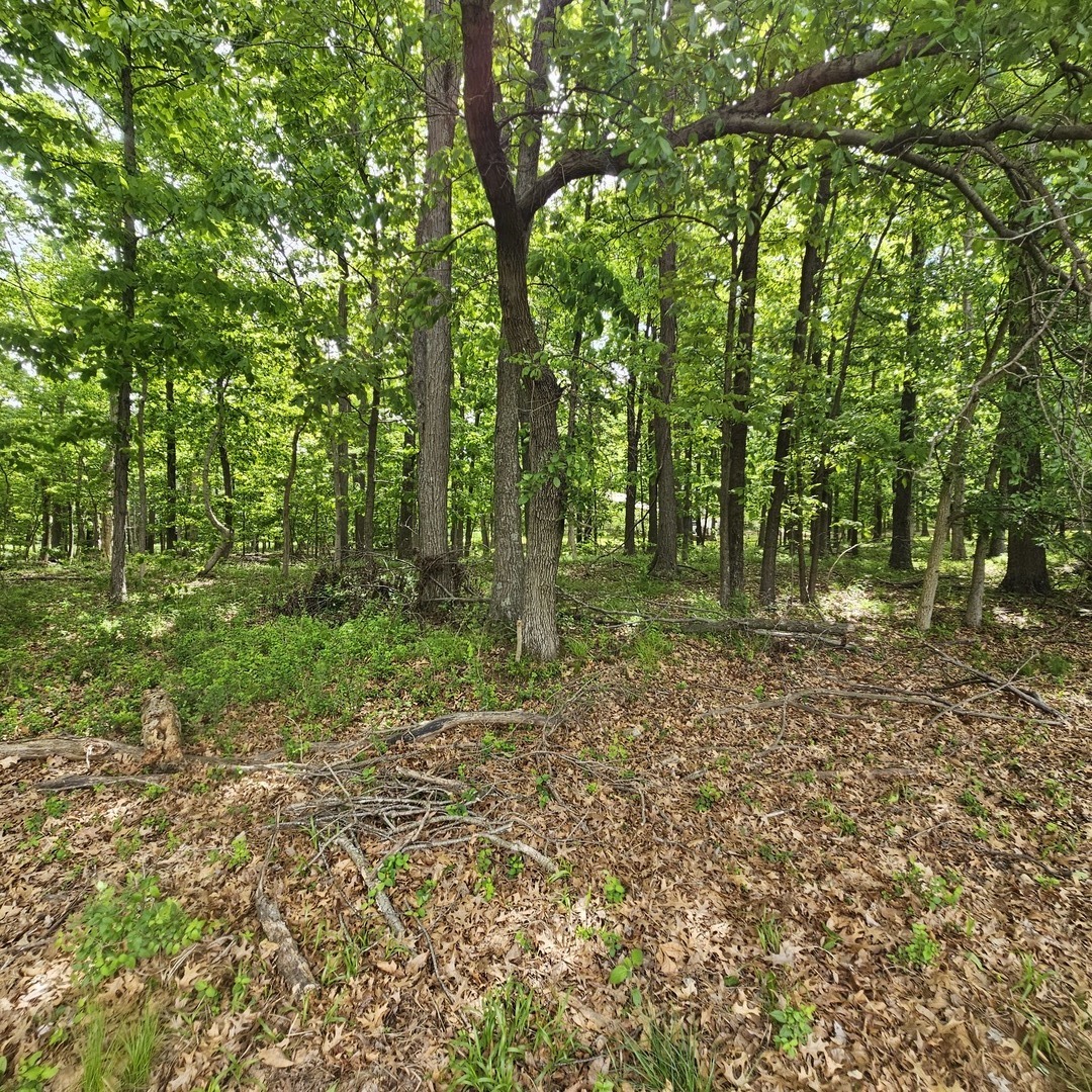 4143 East Richview Road Mount Vernon, IL 62864 - Photo 2 of 6