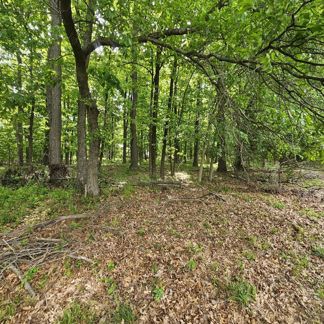 4143 East Richview Road Mount Vernon, IL 62864 - Photo 3 of 6