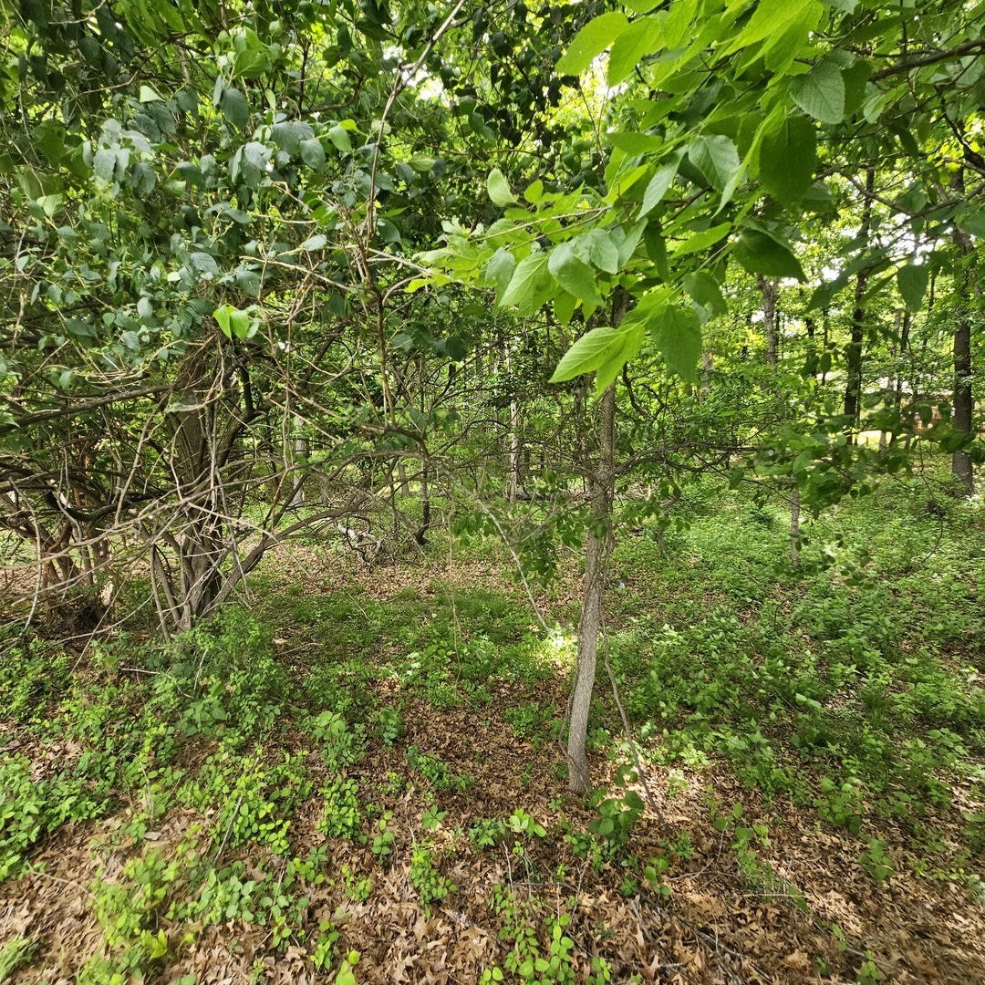 4143 East Richview Road Mount Vernon, IL 62864 - Photo 4 of 6