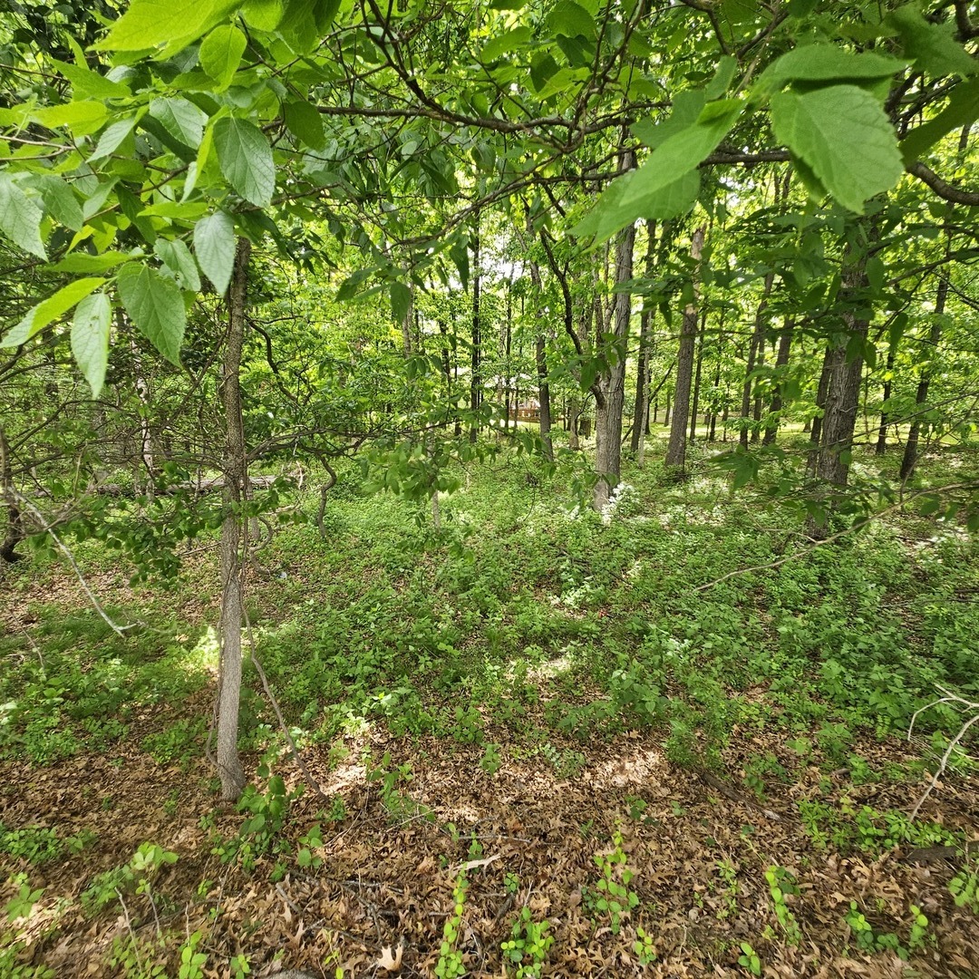 4143 East Richview Road Mount Vernon, IL 62864 - Photo 5 of 6