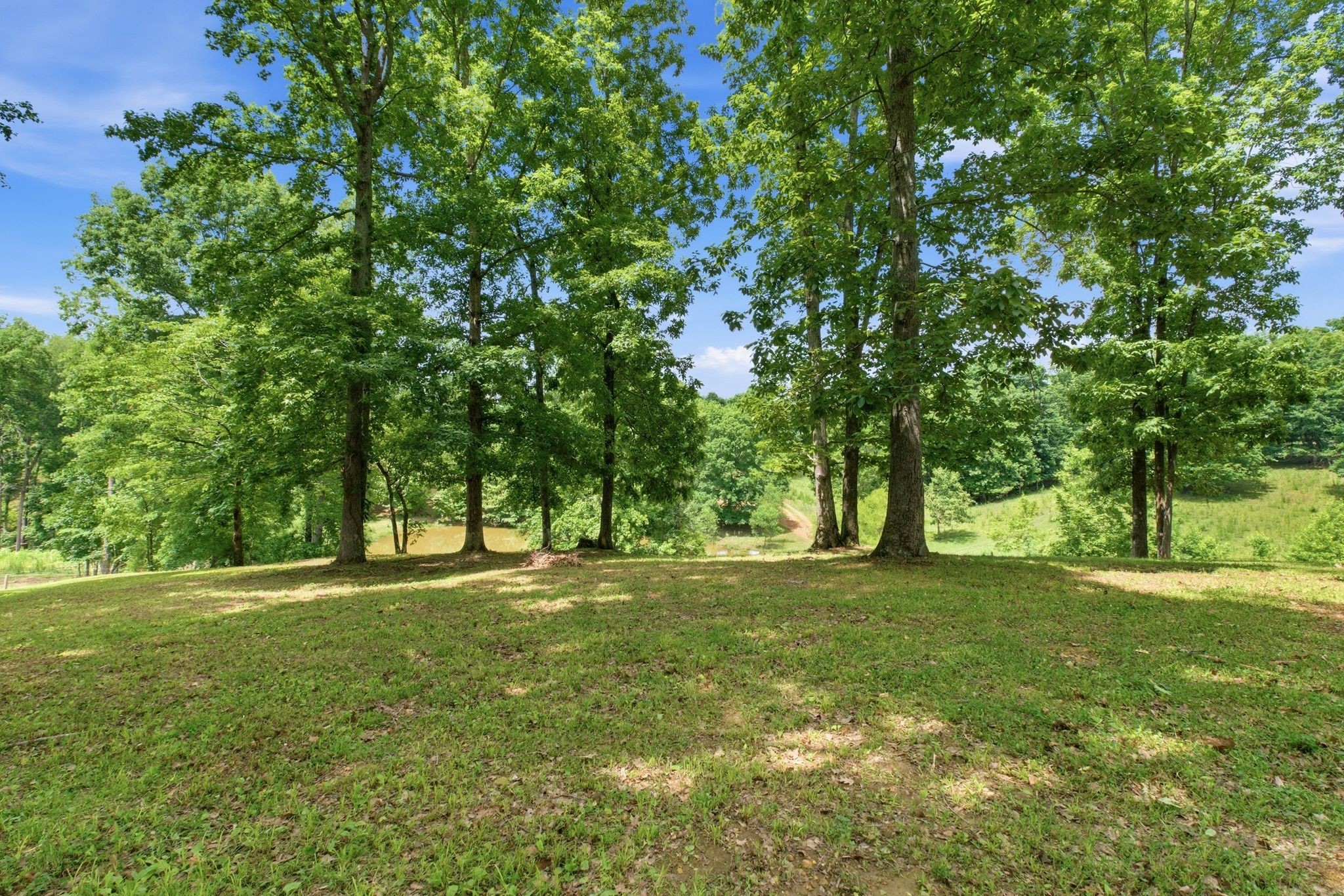 925 Sumac Road Pulaski, TN 38478 - Photo 48 of 84