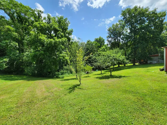 a view of a golf course with a lake