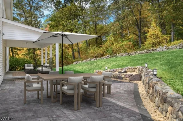 a view of a large tree