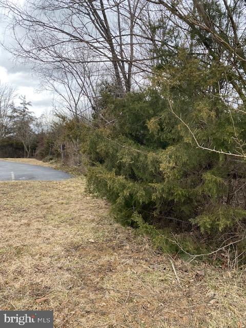 Valley Pike Middletown, VA 22645 - Photo 14 of 14