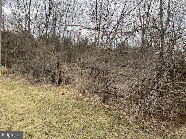 Valley Pike Middletown, VA 22645 - Photo 4 of 14