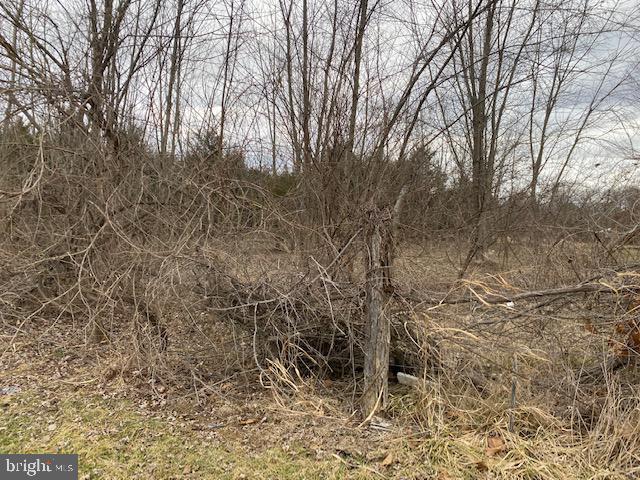 Valley Pike Middletown, VA 22645 - Photo 5 of 14