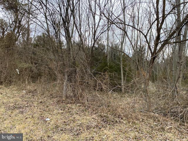 Valley Pike Middletown, VA 22645 - Photo 7 of 14