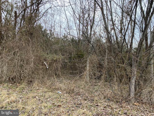 Valley Pike Middletown, VA 22645 - Photo 8 of 14