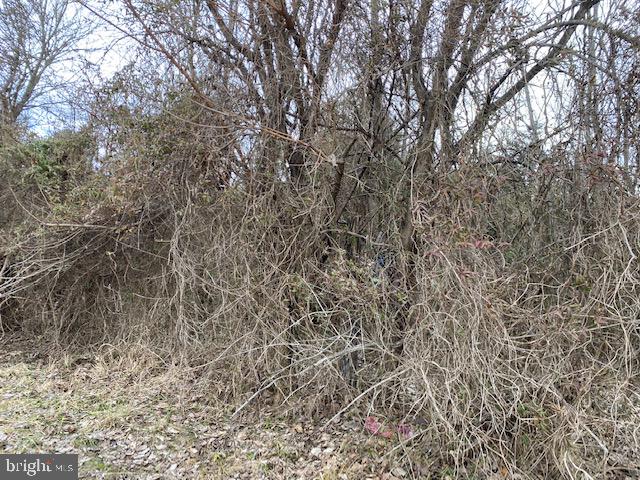 Valley Pike Middletown, VA 22645 - Photo 9 of 14