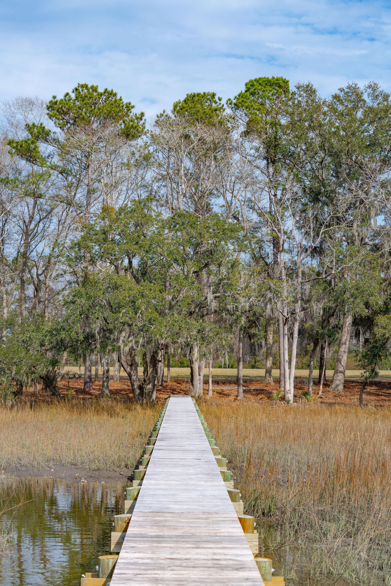 0 Hoopstick Island Road, Unit LOT 4 Johns Island, SC 29455 - Photo 6 of 18 Dock