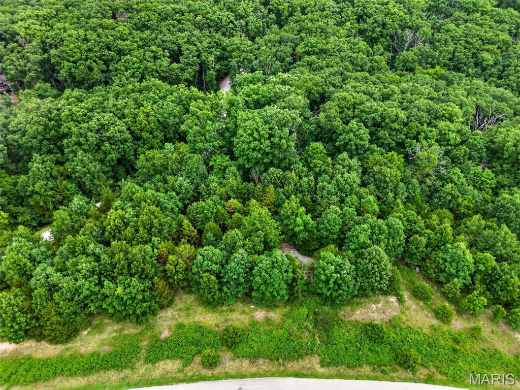2482 Alpine Summit Drive Innsbrook, MO 63390 - Photo 2 of 14 Gallery Image 2