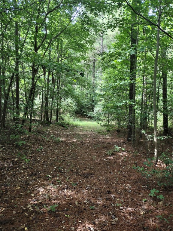 1035 Mize Road, Unit TRACT 4 Belton, SC 29627 - Photo 3 of 13