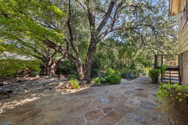 a view of a yard with large trees