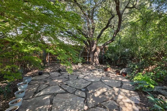 a view of a forest with trees