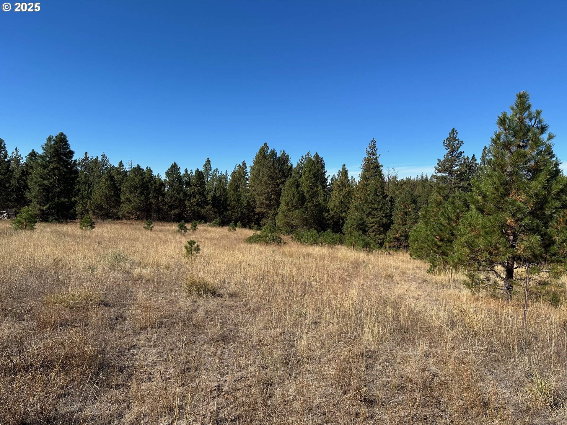 1 Garrison Road Goldendale, WA 98620 - Photo 1 of 8