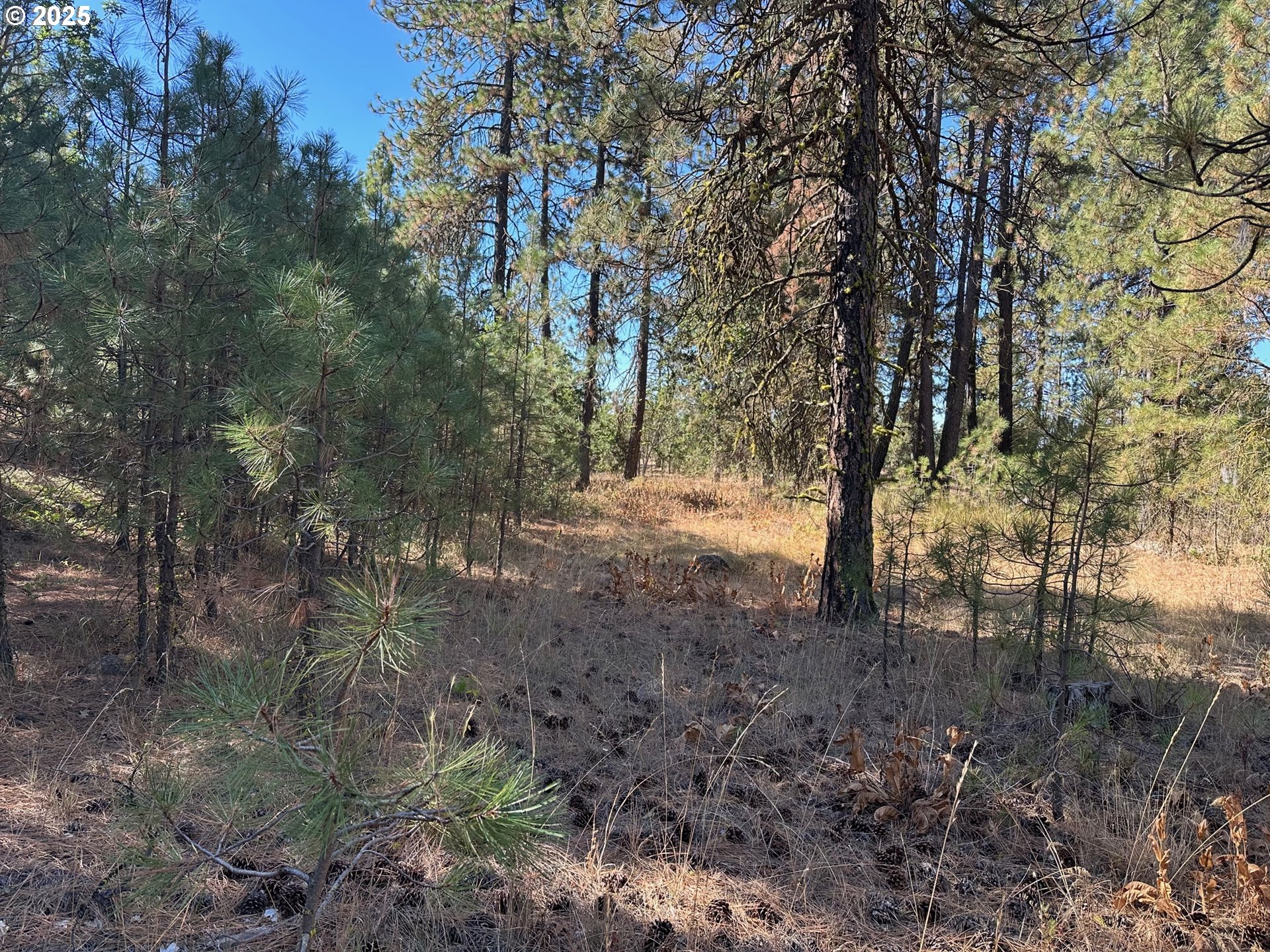 1 Garrison Road Goldendale, WA 98620 - Photo 3 of 8