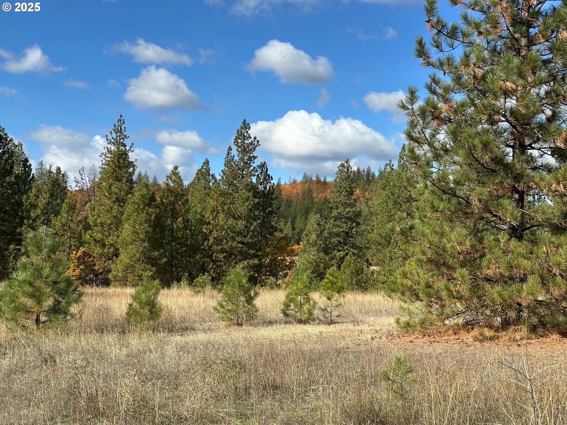 1 Garrison Road Goldendale, WA 98620 - Photo 6 of 8